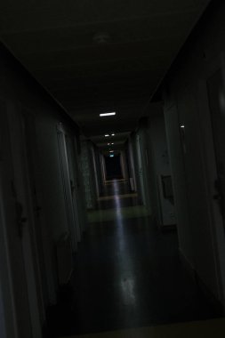 This image plunges the viewer into the depths of a darkened hallway, where the play of light and shadow creates a mysterious atmosphere. It's a scene that could belong in a thriller or a tale of intrigue, with each door holding its own story. 