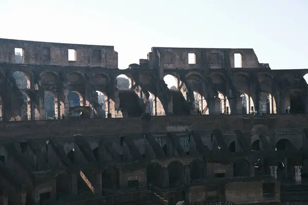 The Colosseum stands as an iconic symbol of ancient grandeur, its towering arches casting a silhouette against the fading light of dusk in Rome. Its enduring beauty speaks of history and timelessness amidst the modern world.