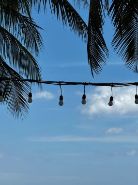 String lights dangle between palm trees against a serene sky in Phuket, setting a scene of relaxation and tropical ambiance in Thailand's paradise.