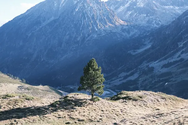 A lone tree stands resilient against the vast backdrop of the Spanish Pyrenees, a symbol of solitude and strength. This image captures the raw beauty of Spain\'s mountainous regions and the enduring spirit of nature.