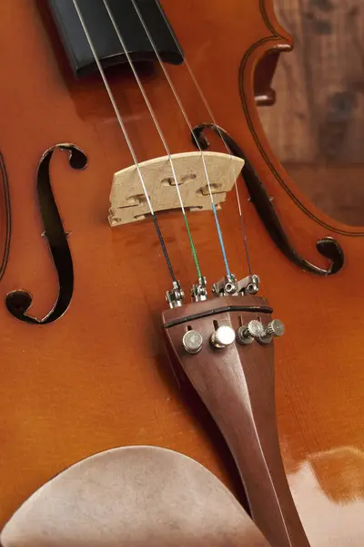 Kırsal ahşap arka planda dinlenen narin ve stilize keman