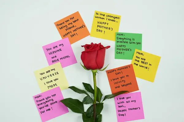 Beyaz arka planda Anneler Günü için minnettarlık ve minnettarlık notu yaz, kırmızı gül ve metin kopyalamak için yer olsun..