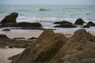 Kuzey Peru 'daki sıcak ve sakin plajlarıyla Pasifik Okyanusu' nun güzel manzarası.