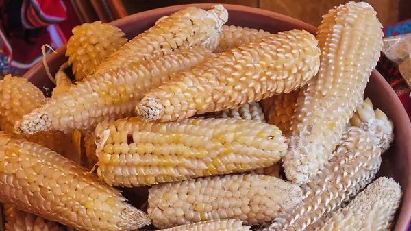 Peru 'da tipik yiyeceklerin hazırlanmasında kullanılacak el yapımı seramik bir kapta kurutulmuş mısır.