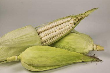Koçandaki taze çiğ mısır, çeşitli Peru yemeklerinde kullanılmak üzere..