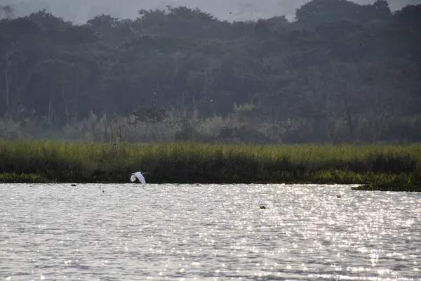 Nehirlerin ve şelalelerin varlığıyla ve yaşam veren ve doğa ile çevrenin dengesini sağlayan ormandaki yapraklar ve ağaçlar.