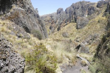 Cajamarca, Peru 'da Cumbemayo' da garip volkanik kaya oluşumları bulundu..