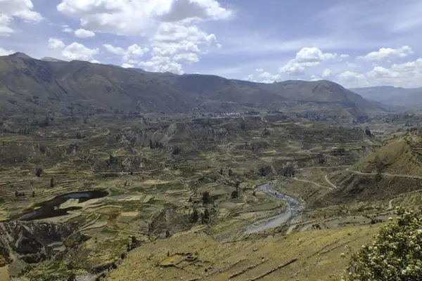 Dünyanın en güzel kanyonlarından biri olan derin Colca Kanyonu, Peru 'nun Arequipa şehrinde yer almaktadır.