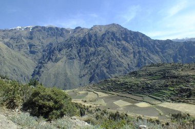 Dünyanın en güzel kanyonlarından biri olan derin Colca Kanyonu, Peru 'nun Arequipa şehrinde yer almaktadır.