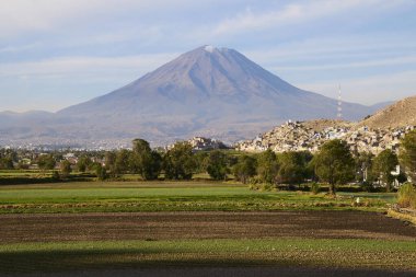 Arequipa, Peru 'nun yeşil kırsalındaki Misti Volkanı manzarası.