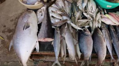 Yerel bir pazarda çeşitli deniz mahsulleri içeren çeşitli taze balıklar satılıyor. 