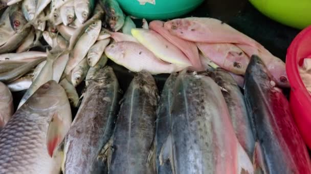 アジアのシーフードを展示する地元のマーケットで販売されている品揃えの新鮮な魚 — ストック動画