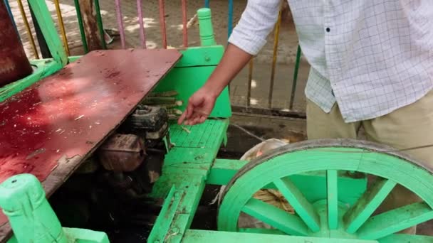 Traditional Sugarcane Juice Extractor Street Cart Wood Drums Crushed Cane — Stock Video