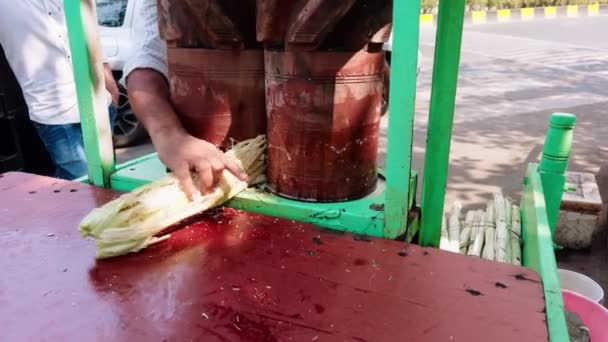 Traditionele Suikerriet Sap Extractor Een Straat Kar Met Houten Vaten — Stockvideo