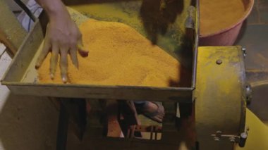 Endüstriyel bir ortamda, Asya pazarında zerdeçal işleme sarı tozu işlemek için çalışan işçiler.