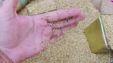 İnci darı tohumlarını gösteren bir el resmi. Çöp tenekesi veya çuval, Hint gıda pazarı. 