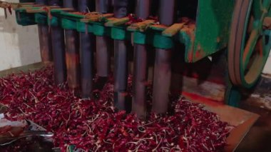 Asya pazarında, endüstriyel bir ortamda kırmızı, soğuk, biber gazı işlemek için çalışan işçiler.