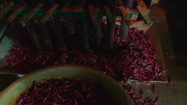 Worker Operating Machinery Grinding Red Chilly Processing Chilly Powder Industrial — Stock Video