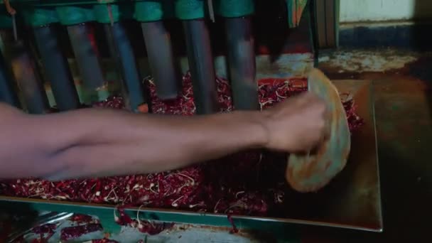 産業環境 アジア市場でチリの粉末を粉砕するための労働者の操作機械 — ストック動画