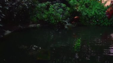 Küçük şelaleli sakin su birikintisi ve gece çevrili yeşillik.