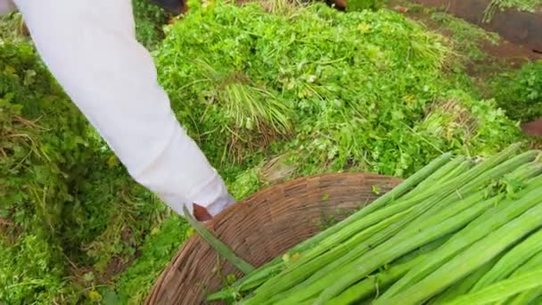 一位绿色食品商贩在市场摊位购物 一位亚洲人在当地蔬菜市场购物 一位亚洲人在印度当地市场买蔬菜 — 图库视频影像