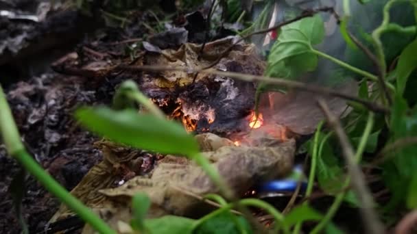 Невеликий Вогонь Полум Горить Серед Листя Гілок Лісовій Підлозі Сутінках — стокове відео