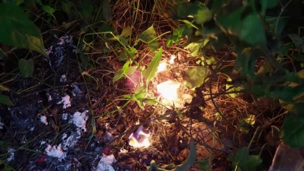 Kleine Vlam Vuur Branden Tussen Bladeren Twijgen Bosbodem Schemering Azië — Stockvideo