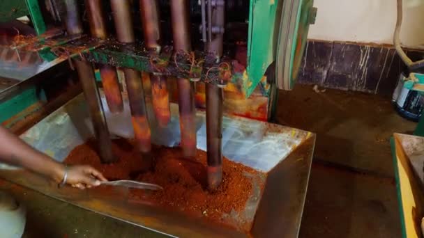 Worker Operating Machinery Grinding Red Chilli Processing Chilli Powder Industrial — Stock Video