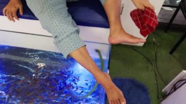 Balık spa 'sında, Asya' da, Hindistan 'da küçük balıkların ayaklarını kemirdiği balık pedikür terapisi gören bir kadın.