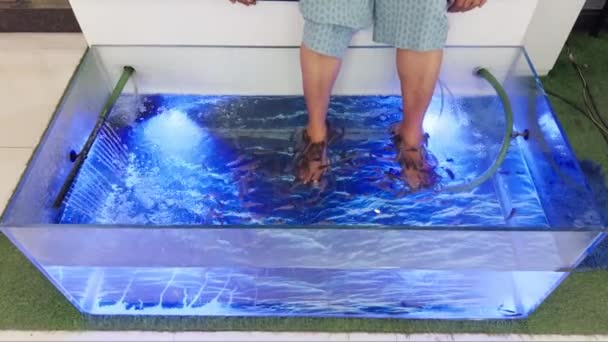 Woman Receiving Fish Pedicure Therapy Small Fish Nibbling Feet Blue — Stock Video