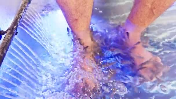 Человек Получающий Рыбную Педикюр Терапию Мелкими Рыбками Грызущими Ног Голубой — стоковое видео