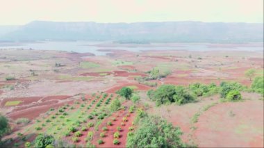 Nehir ve Yeşil Tarlalı Hava Manzarası, Uzaktaki Muhteşem Göl, Bereketli Yeşillik, Kızıl Toprak, Sarmal Dere, Doğal Bitki, Hindistan 'daki Arid Kanalı