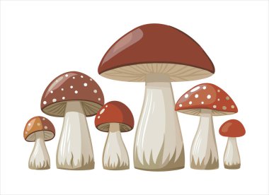  Beyaz arkaplanda izole edilmiş mantar grubunun vektör çizimi