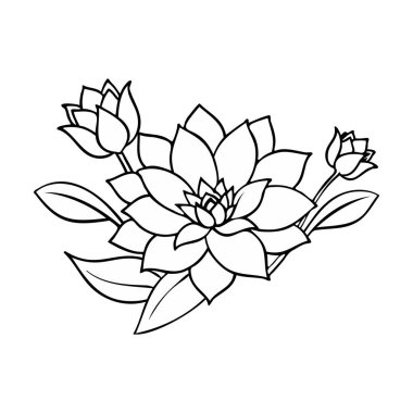 Renkler için Güzel Lotus Çiçeği Özeti