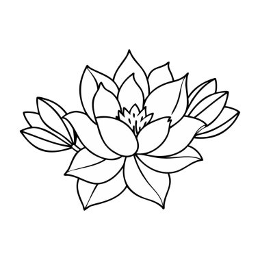 Renk ve Tasarım için Ayrıntılı Lotus Çiçek Çizgisi Sanatı