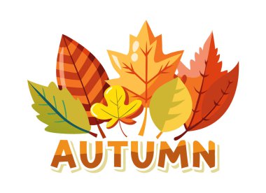 Canlı Sonbahar Yaprakları İllüstrasyonu