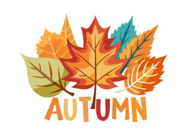 illüstrasyon renkli sonbahar yaprakları