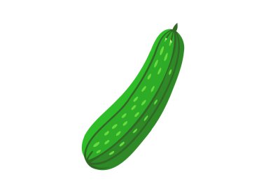 Taze Yeşil Salatalık Çizimi - Sağlıklı Sebze Tasarımı