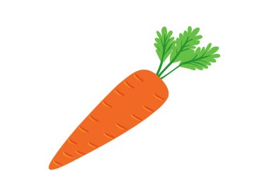 Canlı Havuç İllüstrasyonu Taze Sebzeler Kek Sanatı