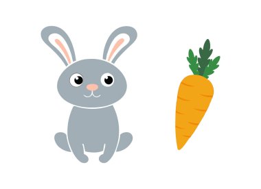 Şirin Tavşan ve Havuç Çizgi Filmi Hayvan Sanatı