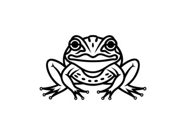 Siyah ve Beyaz Kurbağa İllüstrasyonu Karmaşık Çizgi Sanat Tasarımı