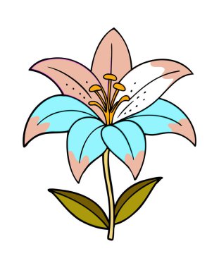 Colorful Lily Flower Illustration with Pastel Petals