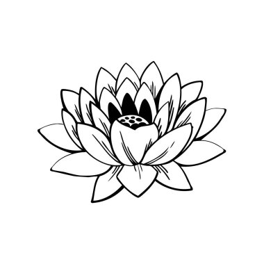 Siyah ve Beyaz Lotus Çiçek İllüstrasyonu