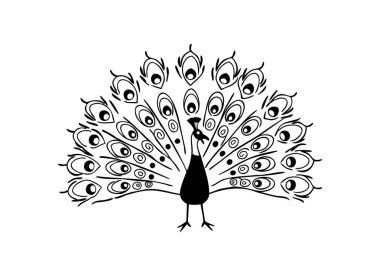  Zarif Siyah ve Beyaz Tavuskuşu Vektör İllüstrasyonu