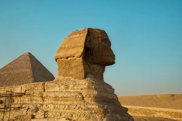 Büyük sfenks, giza, mısır