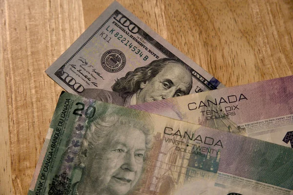 Alebrije el yapımı seramik oyuncak köpek.