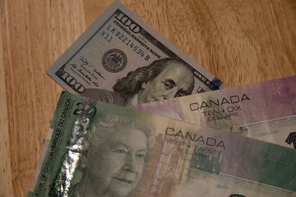 Alebrije el yapımı seramik oyuncak köpek.