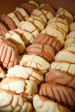 Meksika Tatlı Ekmeği, Conchas