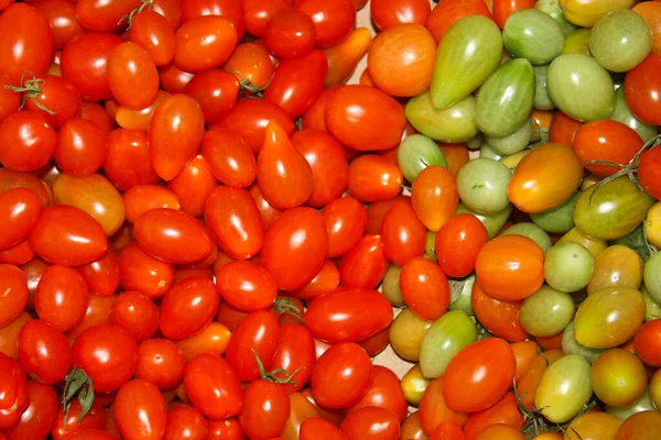 Domates ve domatesleri kapatın.