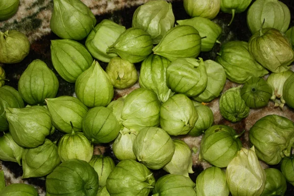 Kabuklarında yeşil domatesler